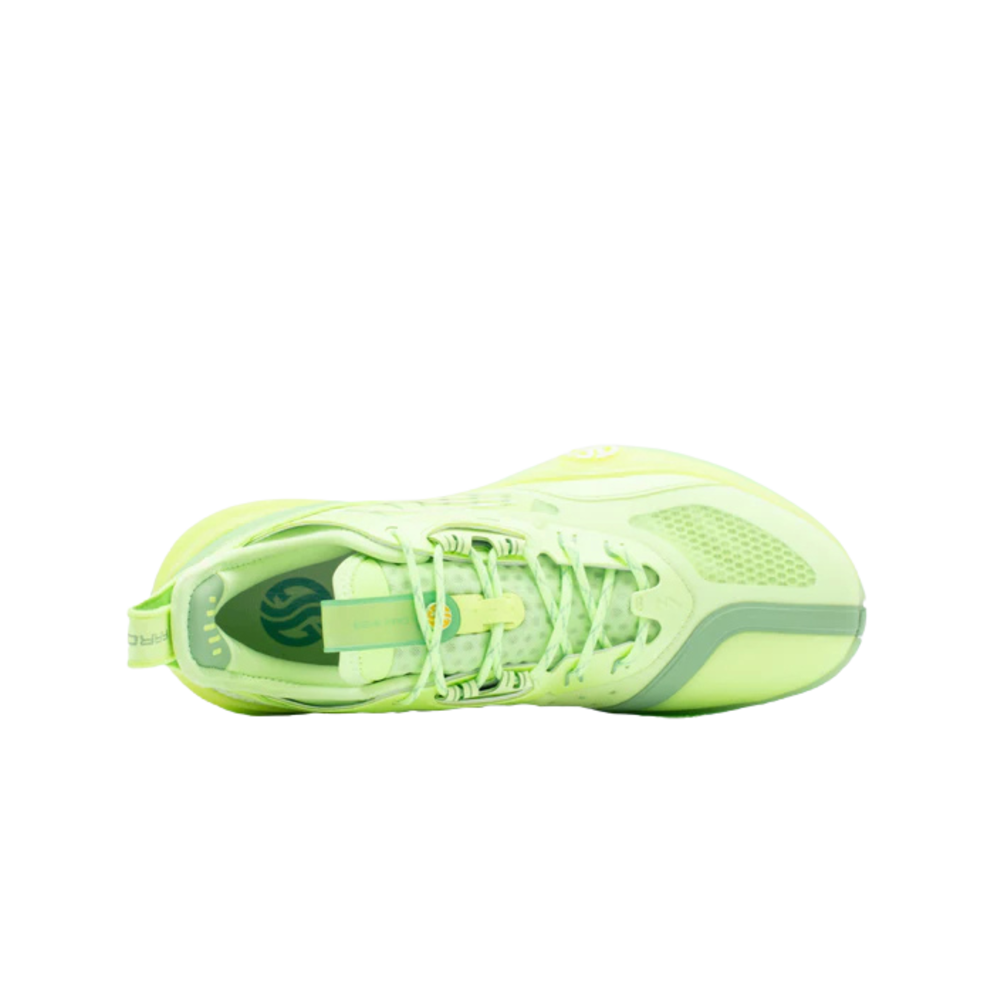 ARRON GORDON -LEMON כדורסל